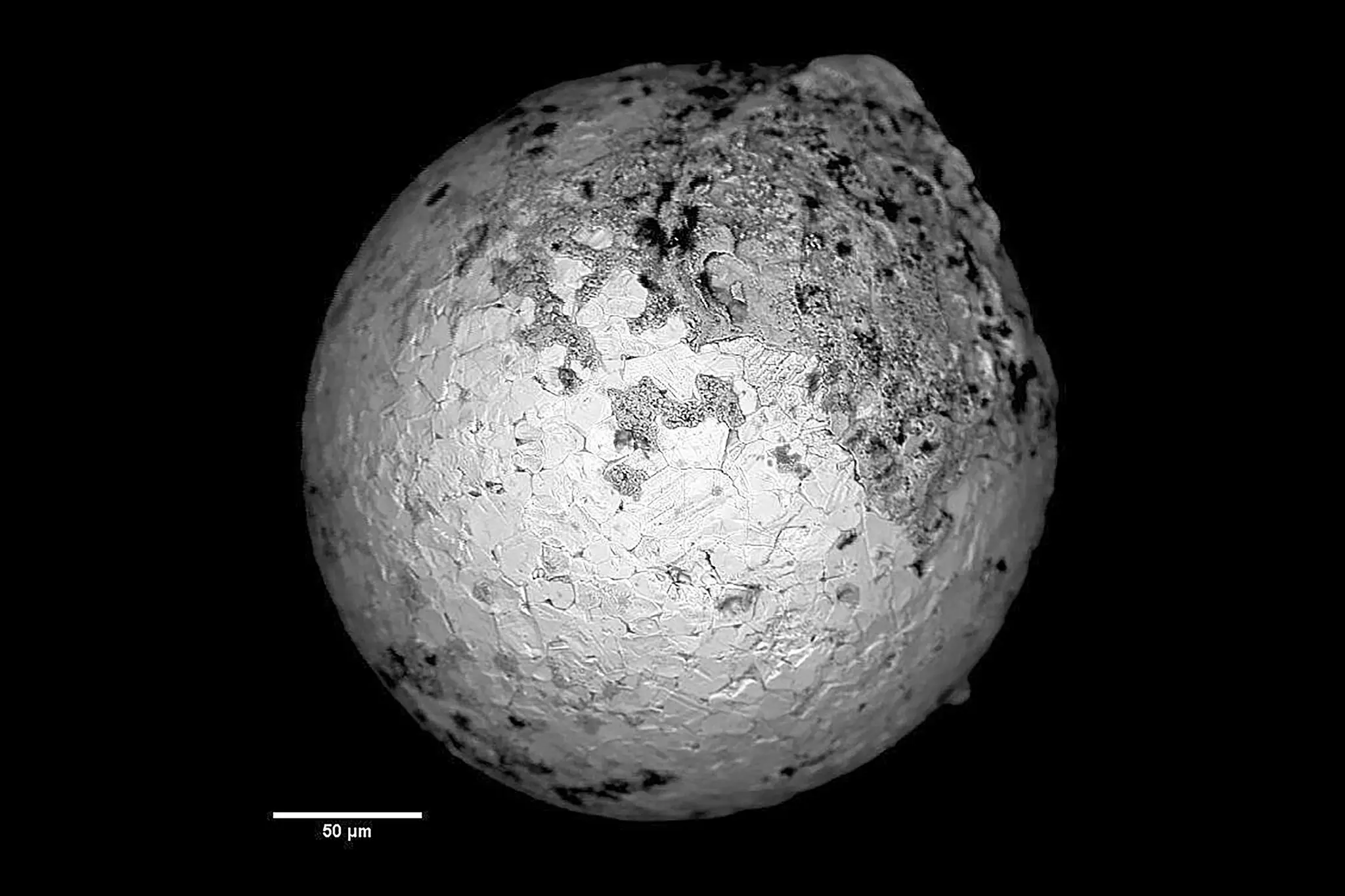 Глибоке занурення вченого у пошуках інопланетного життя ставить під сумнів його колег